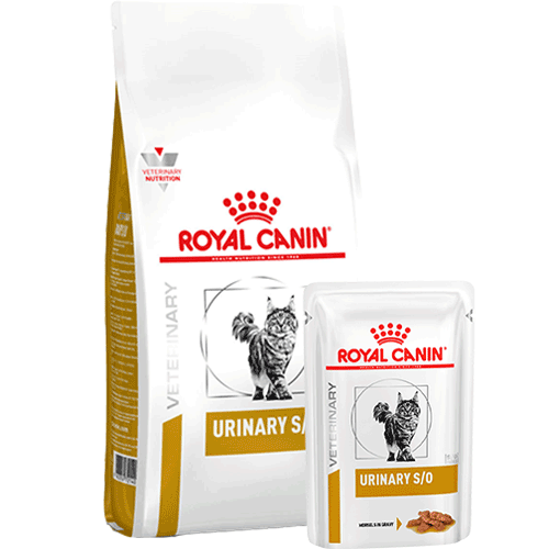 royal canin корм для кошек