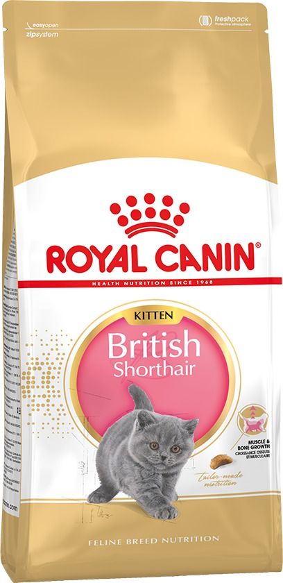 Сухой корм премиум класса Роял Канин для котят породы Британская короткошерстная фото