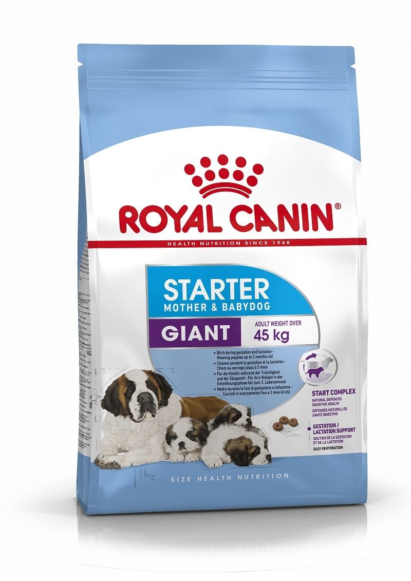 Сухой корм Roal Canin Giant Starter для собак в период беременности и лактации, а также щенков до 2-х месячного возраста фото