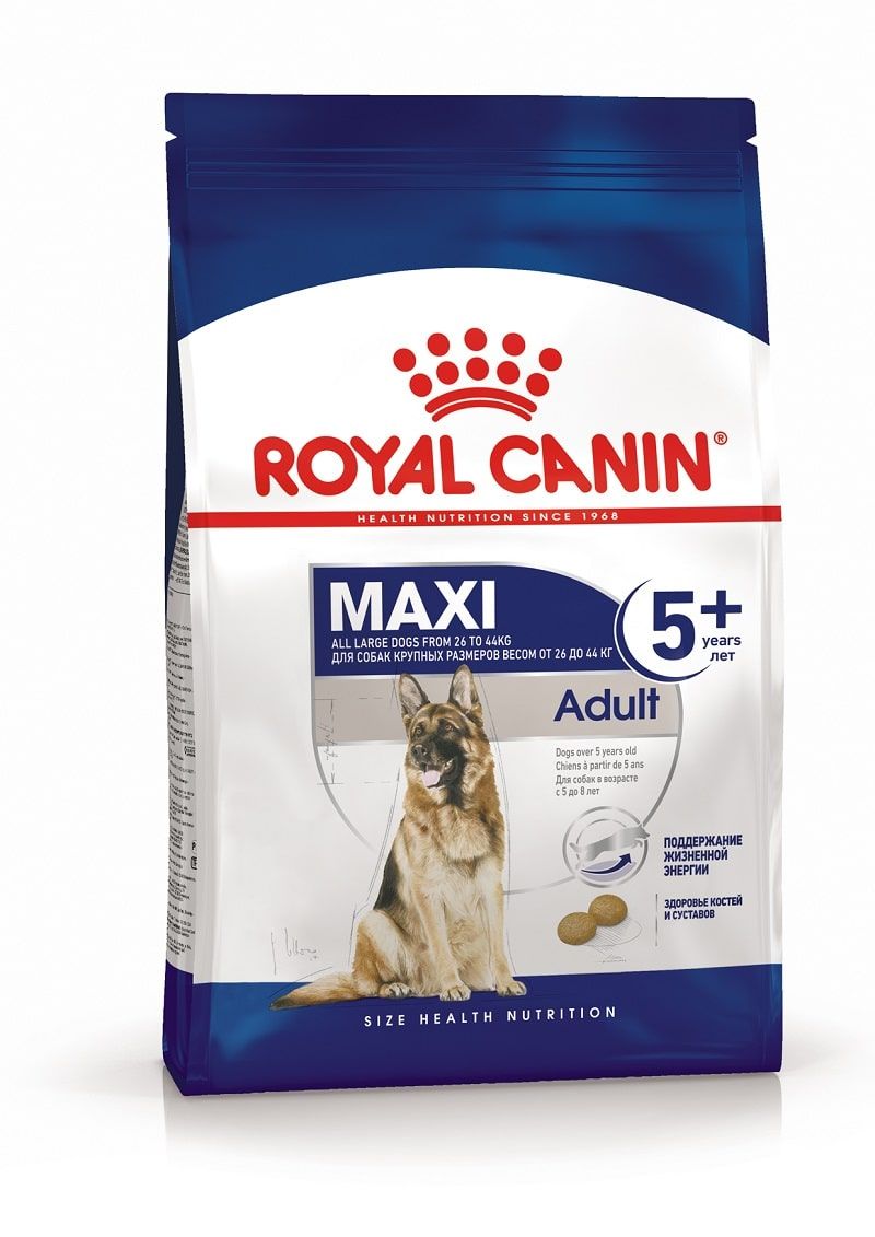Корм для собак Royal Canin Maxi Adult сухой для взрослых собак крупных размеров от 5 лет до 8 лет фото