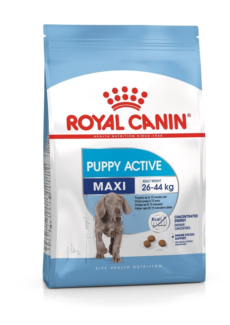 Сухой корм Roal Canin Maxi Junior Active для щенков до 15 месяцев фото