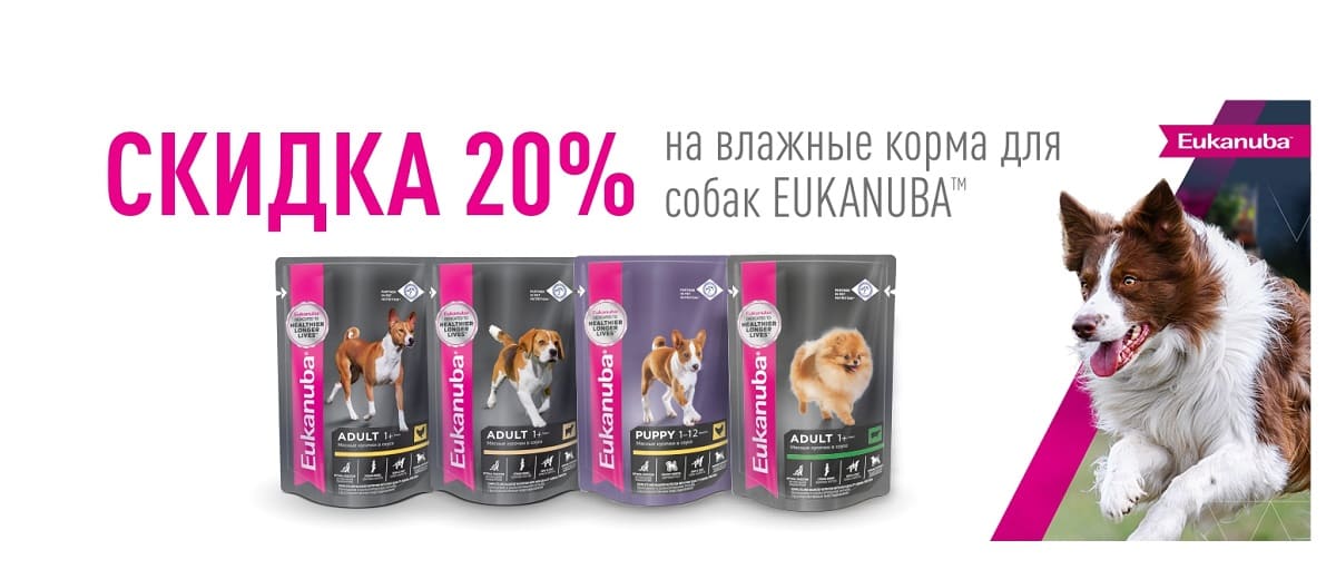 баннер Скидка 20% на корм для собак Eukanuba