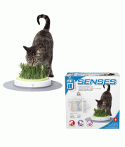 Hagen Catit Design Senses Grass Garden Kit Хаген Сад с травкой для кошек 500гр фото