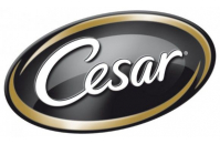 Cesar лого