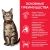 Hill's Science Plan Optimal Care влажный корм для кошек с индейкой #4