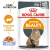 Royal Canin Intense Beauty Корм консервированный для взрослых кошек в желе, 85г #1