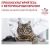 Влажный корм для кошек Royal Canin Neutered Adult Maintenance, 100 г #6