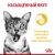 Корм консервированный полнорационный Royal Canin Sensory taste для взрослых кошек (в возрасте от 1 года до 7 лет), стимулирующий обонятельные рецепторы, кусочки в соусе #9