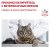 Сухой корм премиум класса Royal Canin Urinary S/O LP34 диета для кошек при профилактика мочекаменной болезни #1