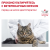 Royal Canin Gastro Intestinal Moderate Calorie Cat Dry GIM35 #9