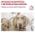 Сухой корм Roal Canin Diabetic DS 37 Canine для взрослых собак, страдающих сахарным диабетом #8
