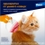 Адвокат® кошки - капли на холку от чесоточных клещей, блох и гельминтов для кошек и хорьков до 4 кг – 3 пипетки #5