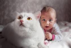 ​Ребята и котята: как подружить ребёнка с кошкой
