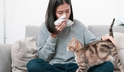 Можно ли аллергику завести кошку или собаку?