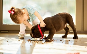 ​8 причин, почему каждому ребёнку нужна кошка или собака